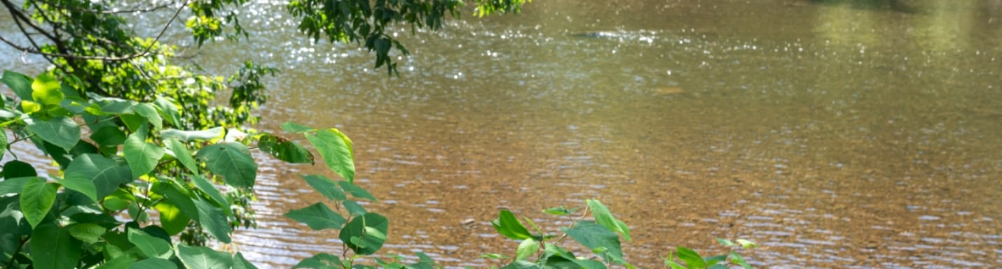 Laraway Offers River Runs